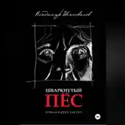 Постер книги ШВАРКНУТЫЙ ПЁС