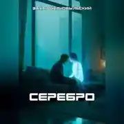 Постер книги Серебро