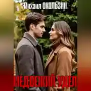 Постер книги Медвежий Удел