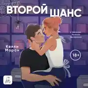 Постер книги Второй шанс