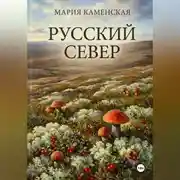 Постер книги Русский Север