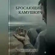 Постер книги Бросающий камушки