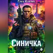 Постер книги Синичка