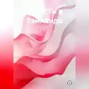 Постер книги Страсти в тайланде