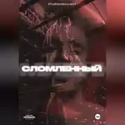 Постер книги СЛОМЛЕННЫЙ
