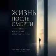Постер книги Жизнь после смерти