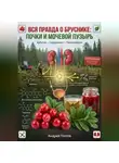 Андрей Попов - Вся правда о бруснике: почки и мочевой пузырь