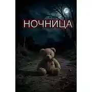 Постер книги Ночница