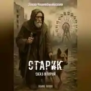 Постер книги Сталкер. Истории. Старик. Сказ второй