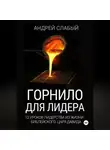 Андрей Слабый - Горнило для лидера. 12 уроков лидерства из жизни библейского царя Давида