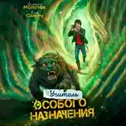 Постер книги Учитель Особого Назначения. Том 7