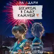 Постер книги Босиком в саду камней 4