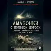 Постер книги «Амазонки» с большой дороги: Хроника семейного безумия на трассе М-4