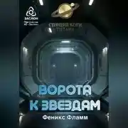 Постер книги Ворота к звёздам