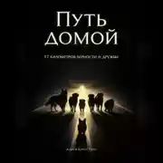 Постер книги Путь домой 2. Семнадцать километров верности и дружбы