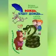 Постер книги Вождь, будет дождь!