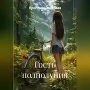Постер книги Гость полнолуния