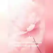 Постер книги Свобода от зависимости и путь к исцелению