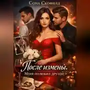 Постер книги После измены. Меня полюбил другой