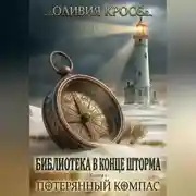 Постер книги Потерянный компас