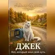 Постер книги Джек. Кот, который знал свой путь