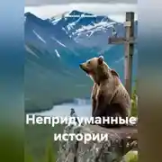 Постер книги Непридуманные истории