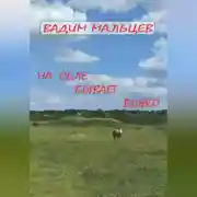 Постер книги На селе бывает всяко