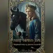 Постер книги Сказания о гонце из забытого княжества: Гонец Чёрного Бора.