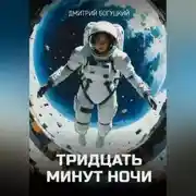 Постер книги Тридцать минут ночи