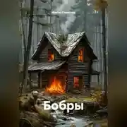 Постер книги Бобры