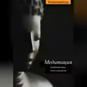 Постер книги Медитация: буддийский путь покоя и прозрения