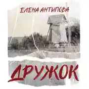 Постер книги Дружок