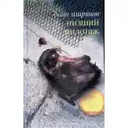 Постер книги Низший пилотаж