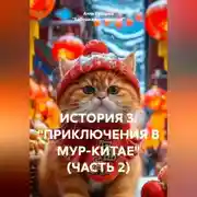 Постер книги ИСТОРИЯ 3. "ПРИКЛЮЧЕНИЯ В МУР-КИТАЕ" (ЧАСТЬ 2)