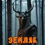 Постер книги Земляк