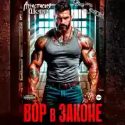 Постер книги Вор в законе