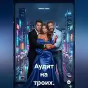 Постер книги Аудит на троих. Игра без правил