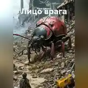 Постер книги Лицо врага