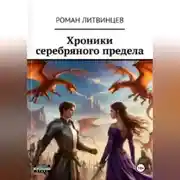 Постер книги Хроники серебряного предела
