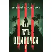 Постер книги Путь одиночки. Книга 1