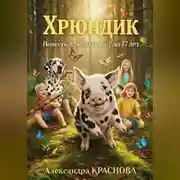 Постер книги Хрюндик. Повесть для детей от 7 до 77 лет