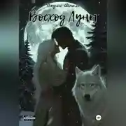 Постер книги Восход Луны