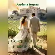 Постер книги Северный шёлк и южное вино