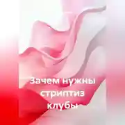 Постер книги Зачем нужны стриптиз клубы