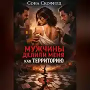 Постер книги Мужчины делили меня как территорию
