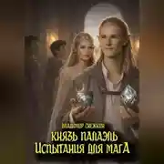 Постер книги Князь Палаэль. Испытания для мага
