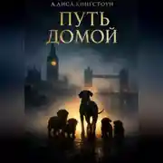 Постер книги Путь домой