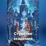 Постер книги Студёная академия