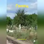Постер книги ГОНЕЦ
