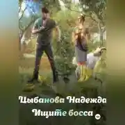 Постер книги Ищите босса